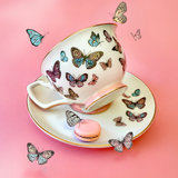 Papillon Teacup & Saucer